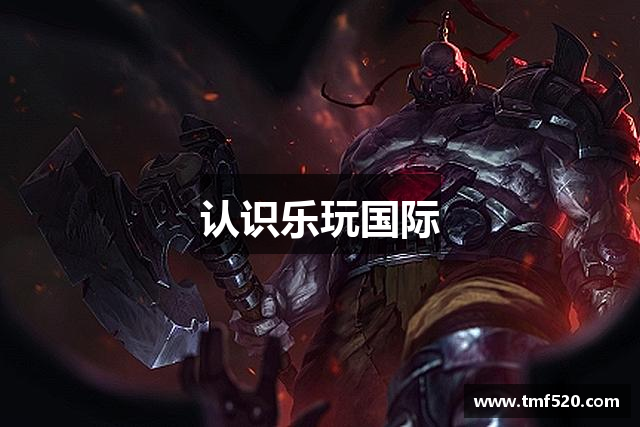 认识乐玩国际